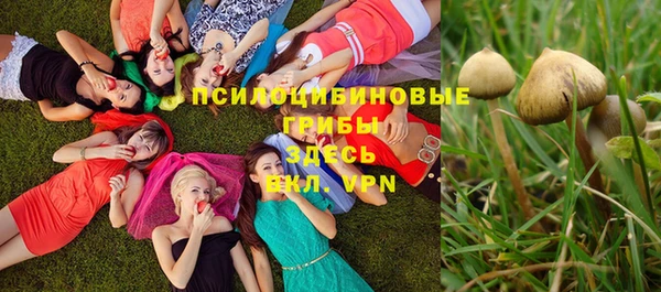 первитин Горнозаводск