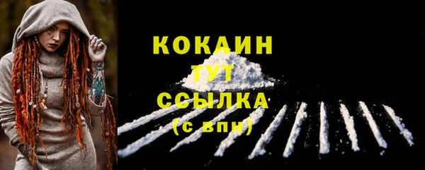 дмт Гусь-Хрустальный