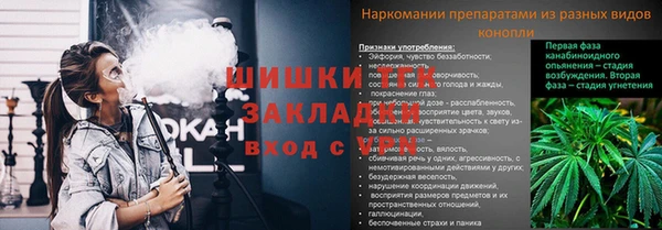 первитин Горнозаводск