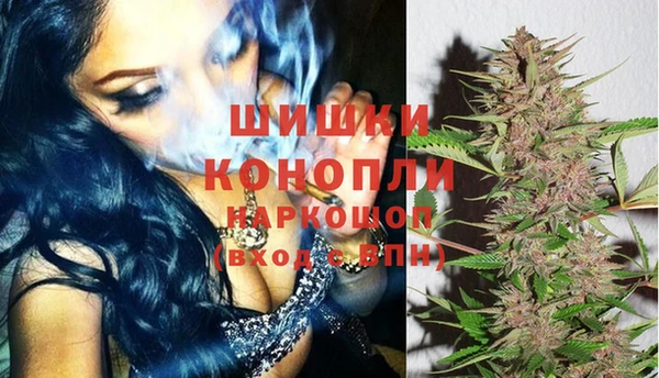 таблы Гусев