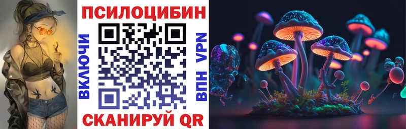 Галлюциногенные грибы MAGIC MUSHROOMS  где купить наркоту  Меленки 